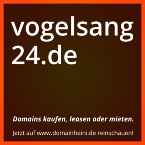 Domain Vogelsang24.de